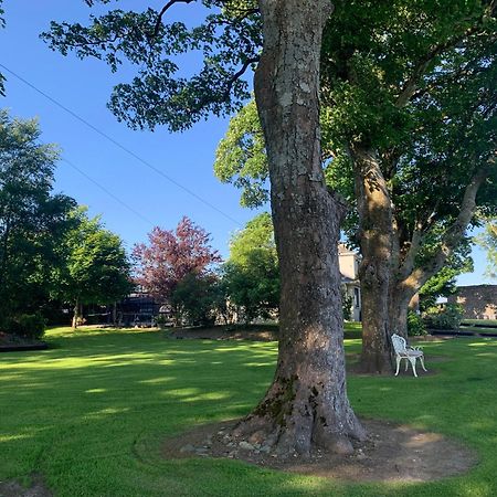 Town View Villa Killarney Ngoại thất bức ảnh